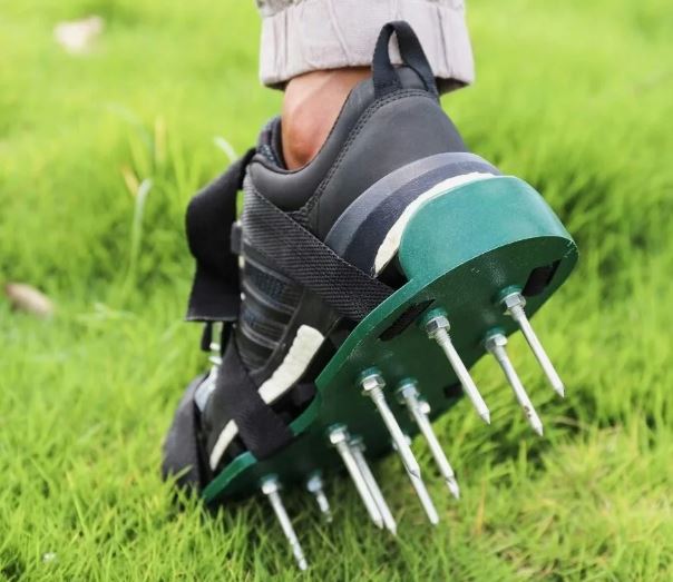 Подготовка газона к сезону