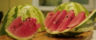 Сладкий арбуз на Урале