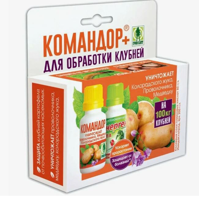 Фитофтора картофеля