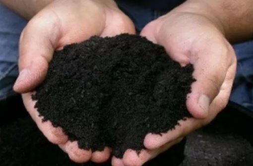 Сладкий арбуз на Урале. Подготовка почвы