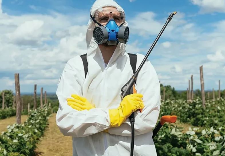 Фитофтора. СИЗ