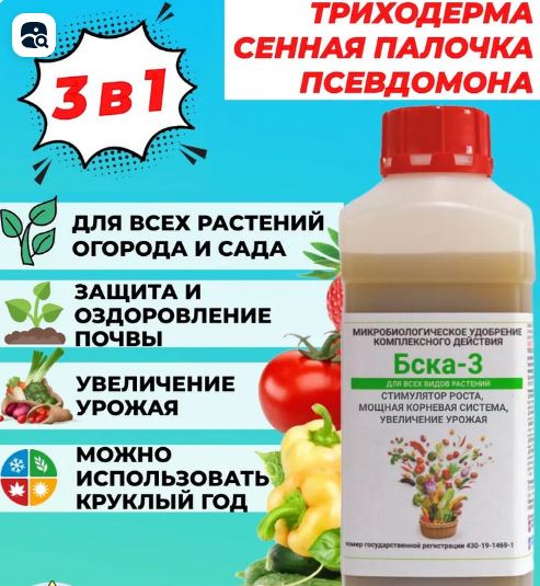 Болезни растений: диагностика и лечение