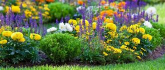 Как создать цветник