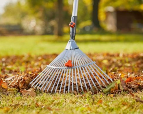 Подготовка газона