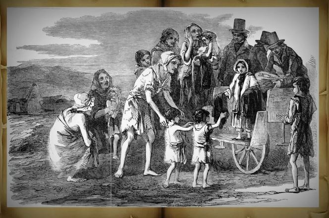 Фитофтора картофеля